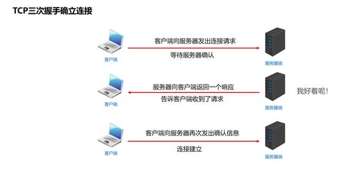 深入理解網絡通信三要素 IP、端口、協議及其在信息安全軟件開發中的關鍵作用